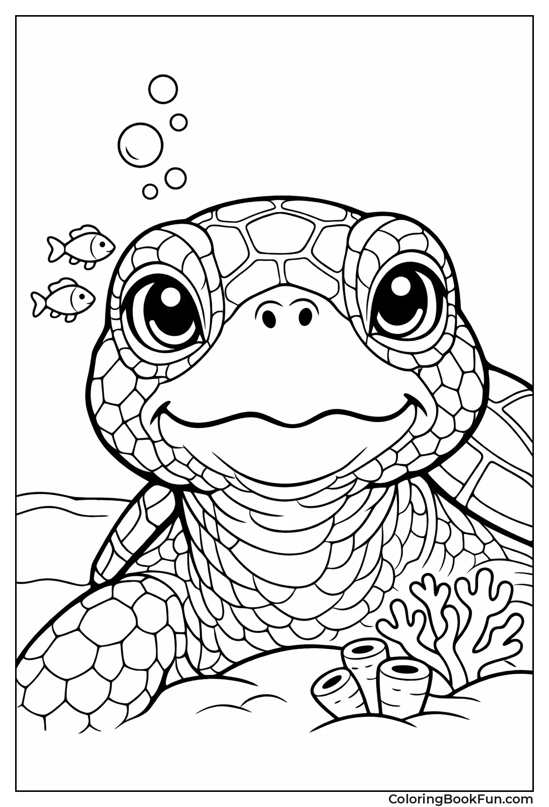 Green Turtle Face Closeup