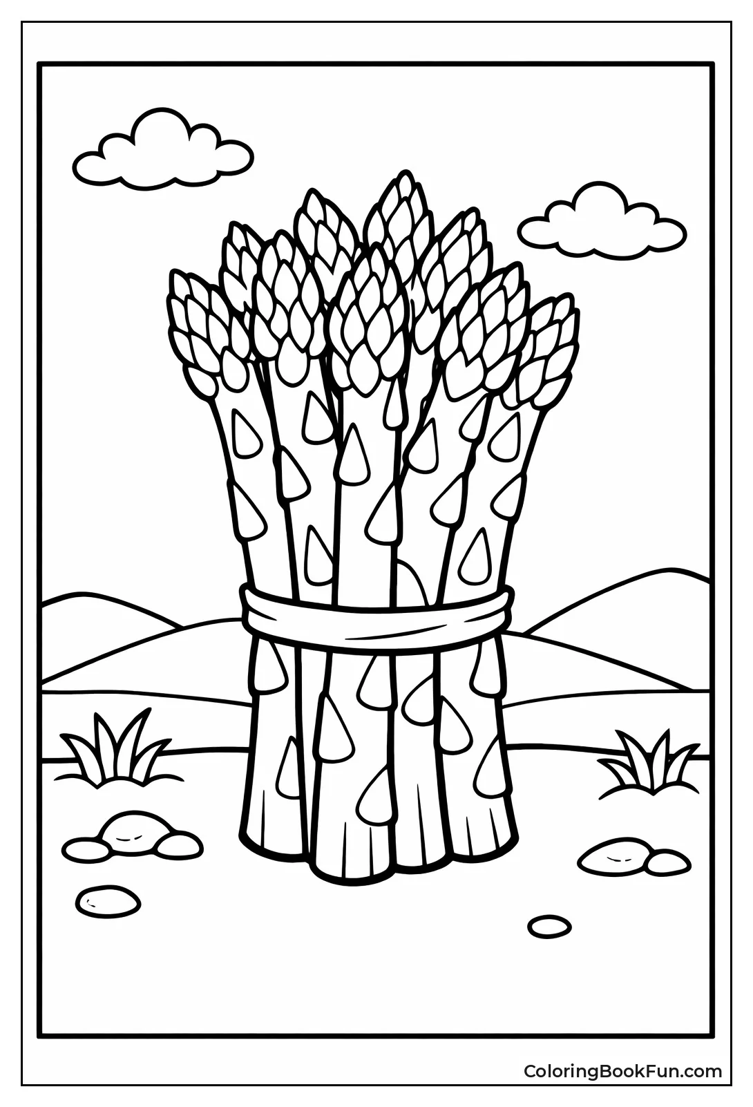 Bundle of Asparagus Spears