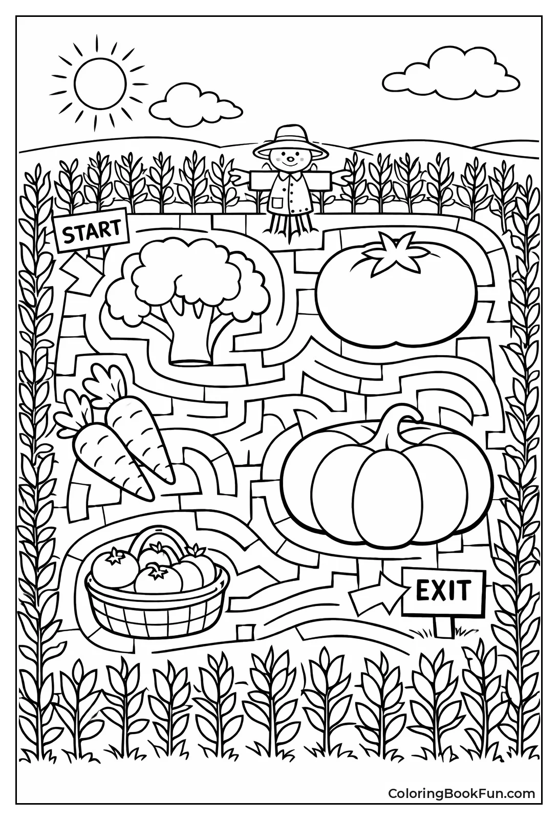 Corn Maze from Above