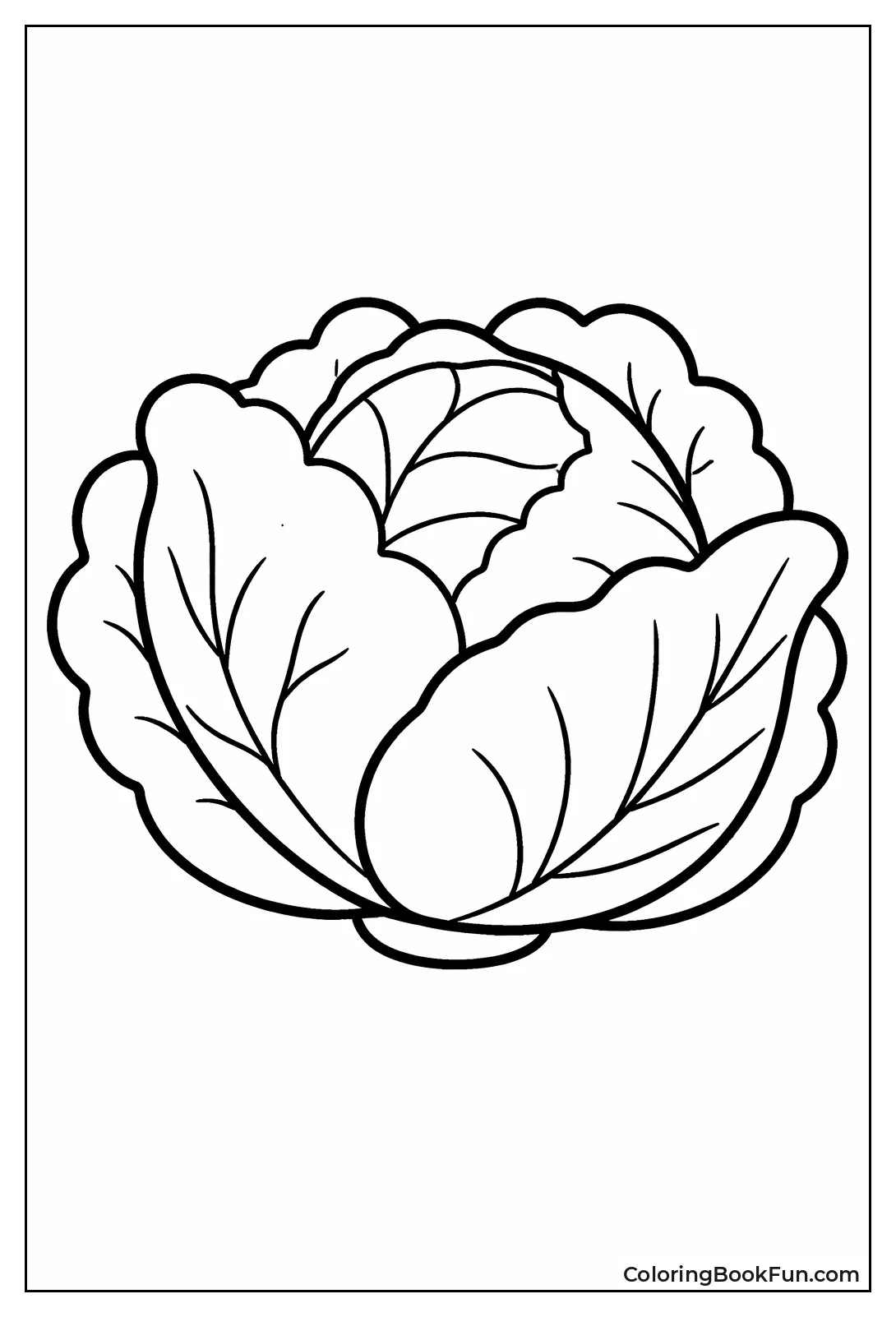 Simple Head of Lettuce