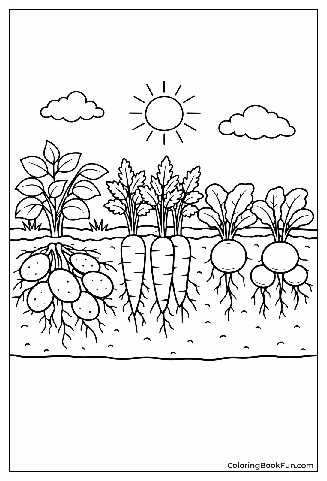 Roots Growing Underground World