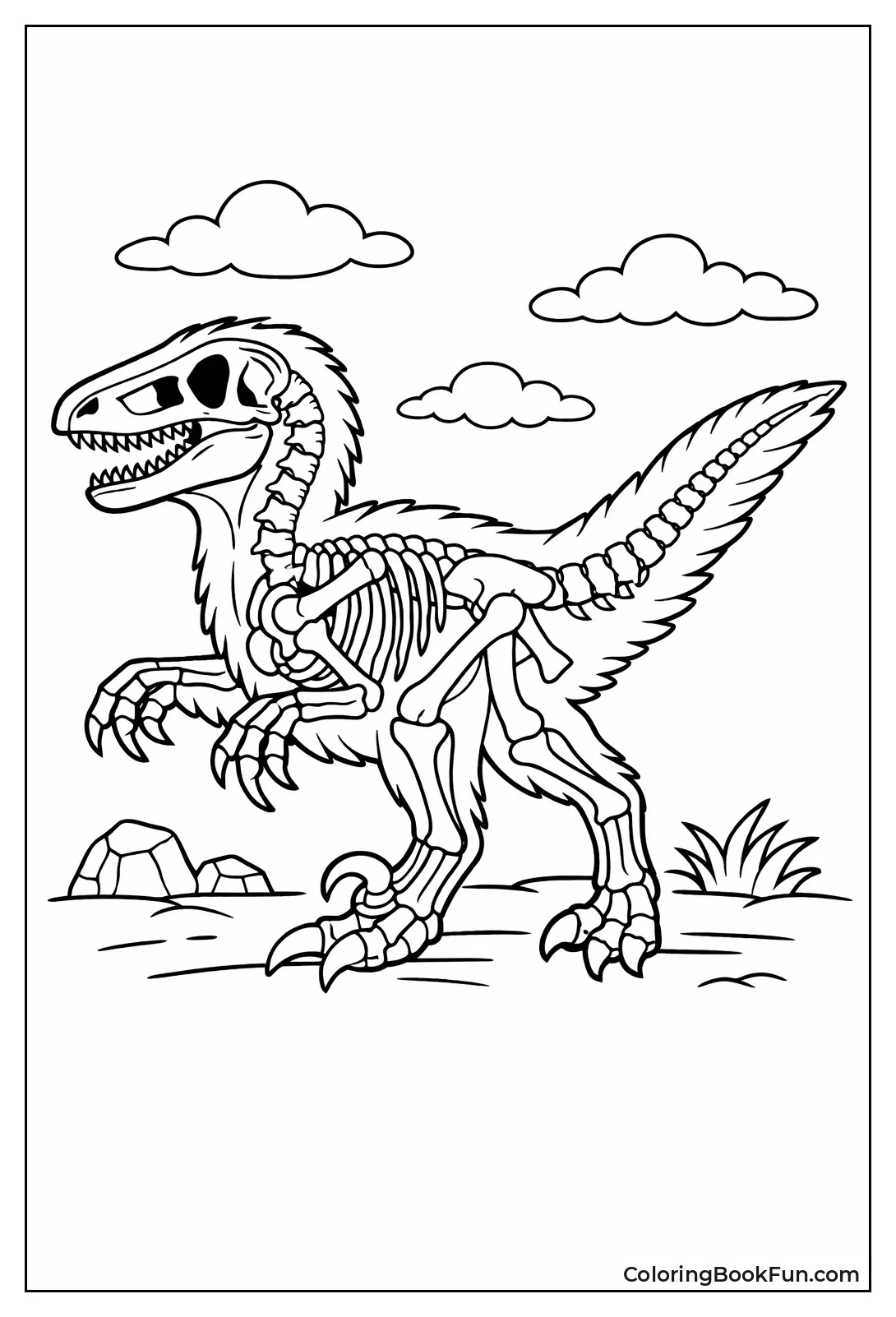 Velociraptor Shows Inner Skeleton