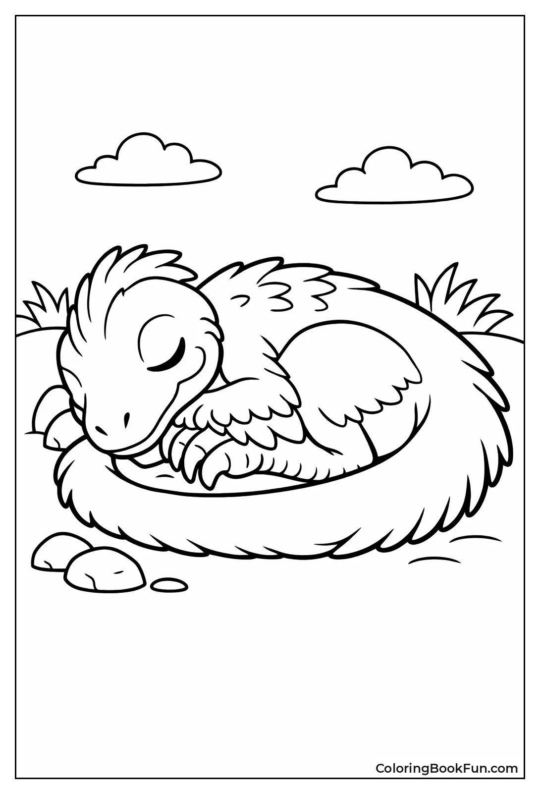 Curled Sleeping Velociraptor