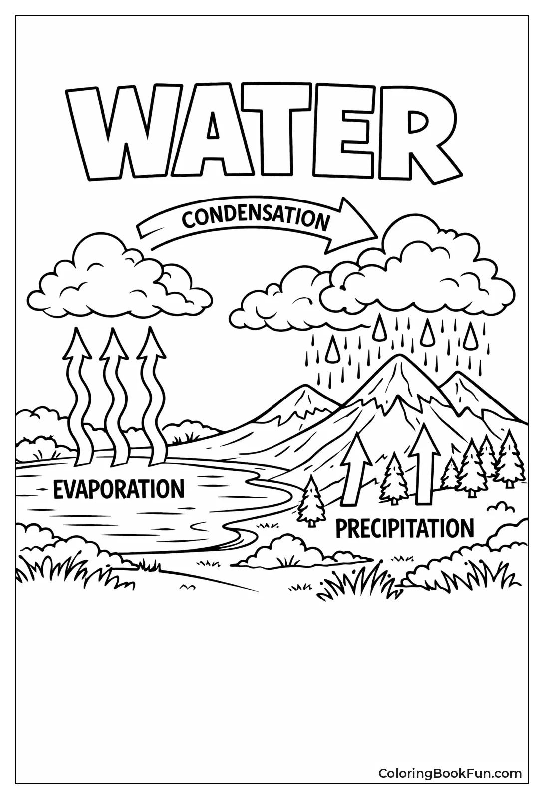 Water Cycles from Lake to Rain