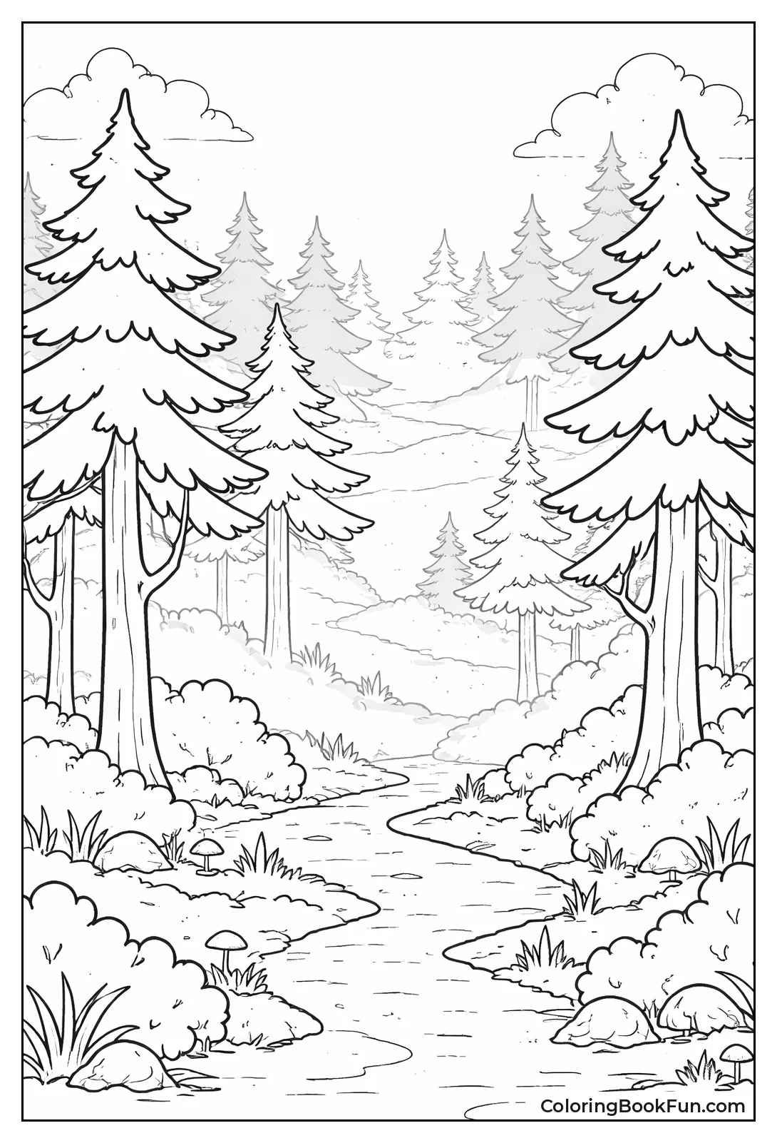 Foggy Morning Forest