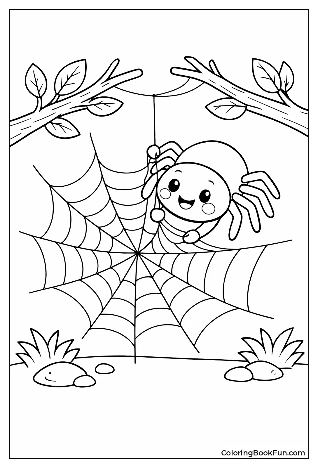 Spider Weaves Web on Branches