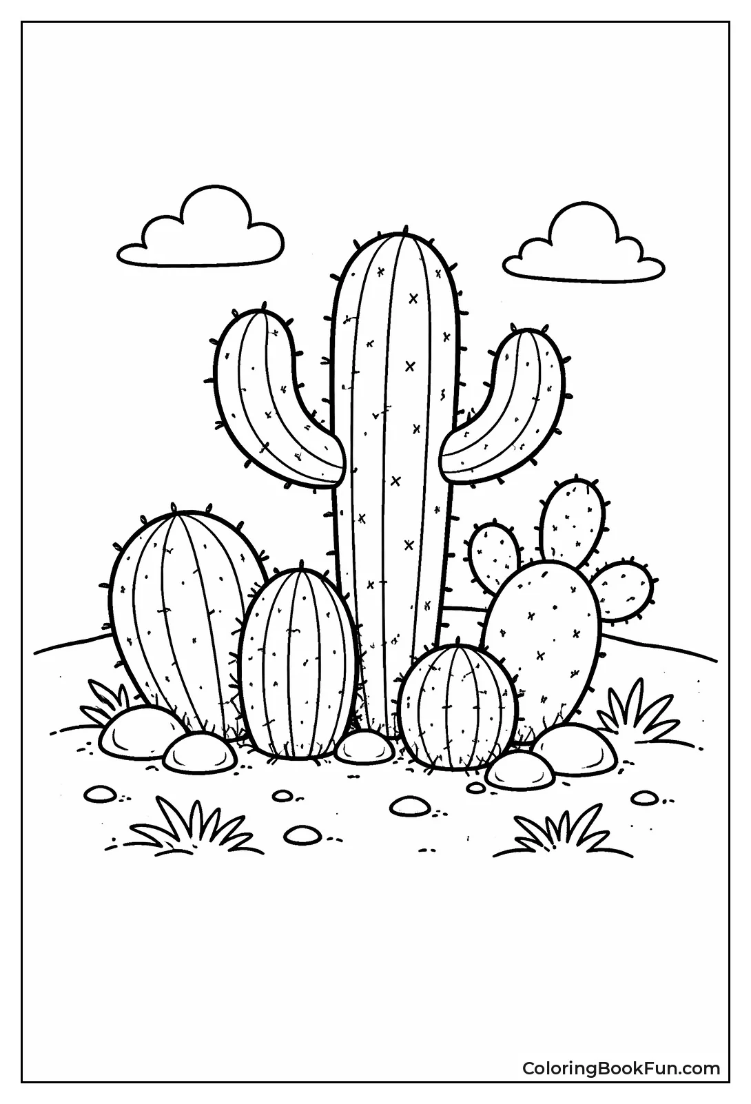 Tiny Cluster of Little Cacti