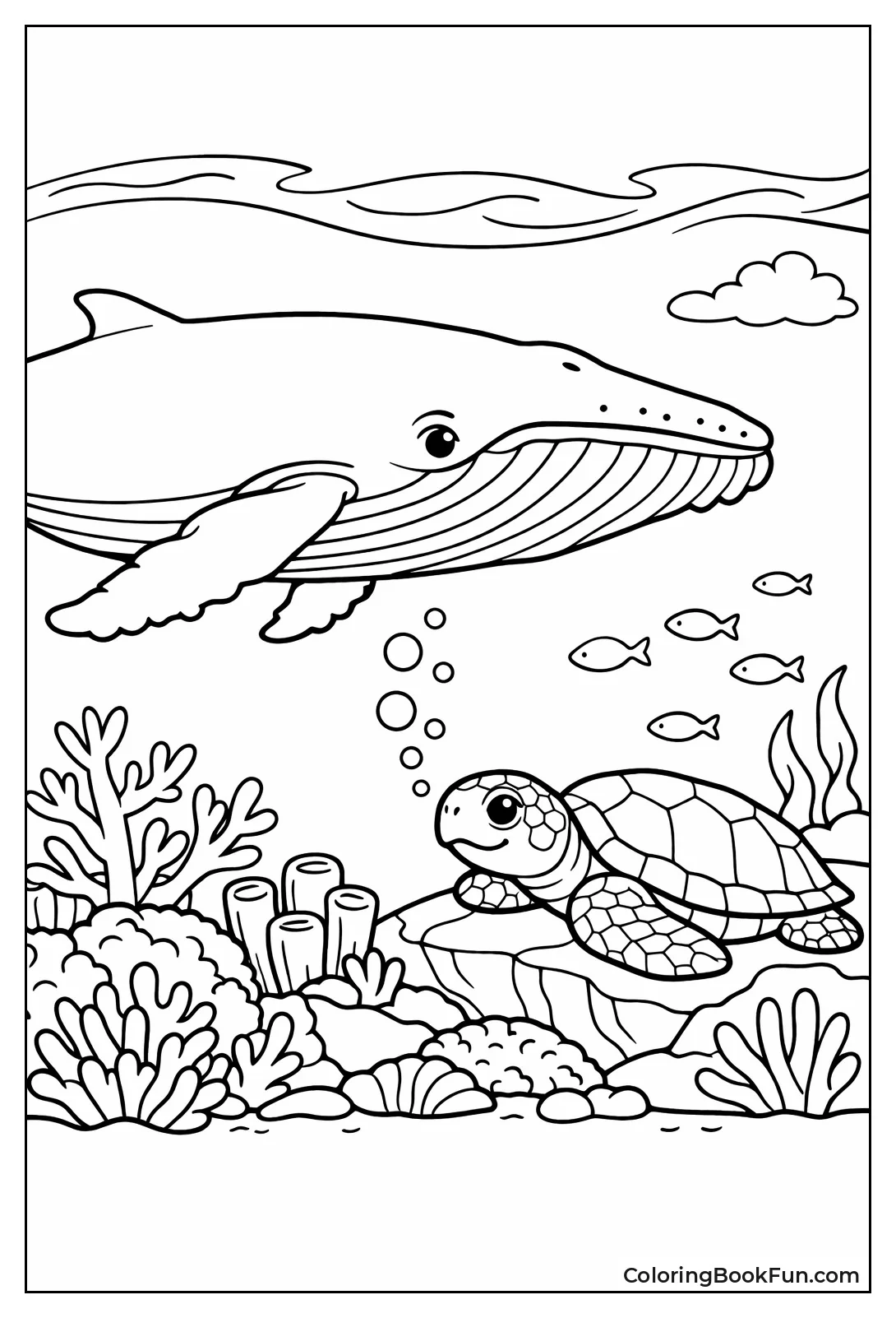 Whale Meets Sea Turtle