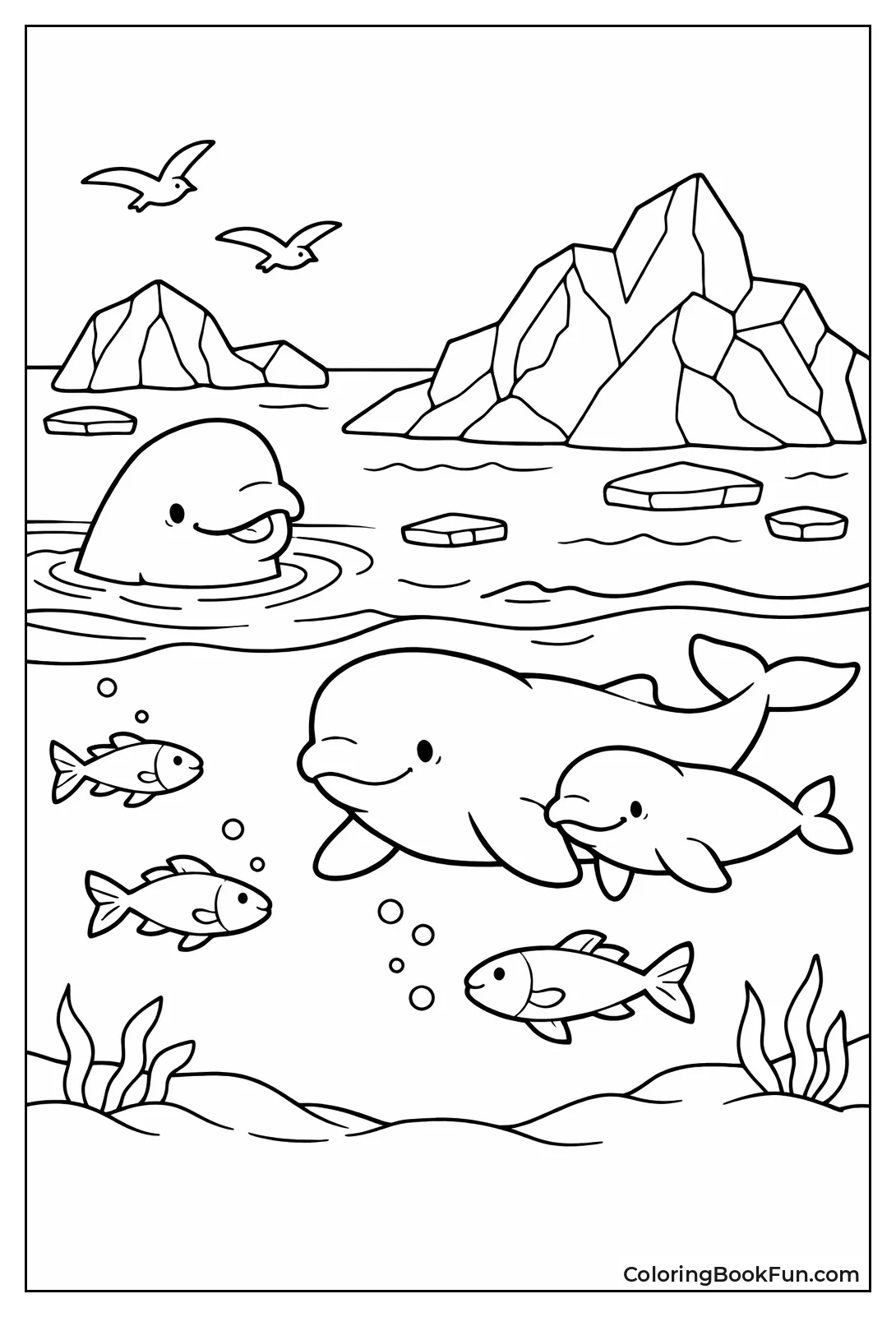 Belugas near Icebergs