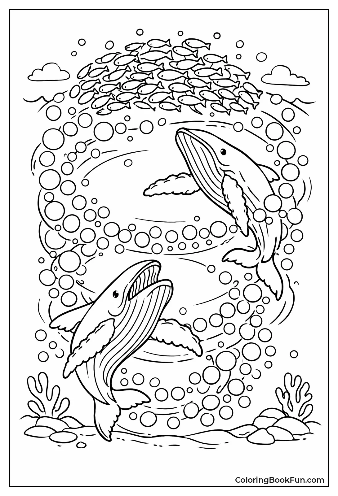 Humpbacks Bubble Net Fish