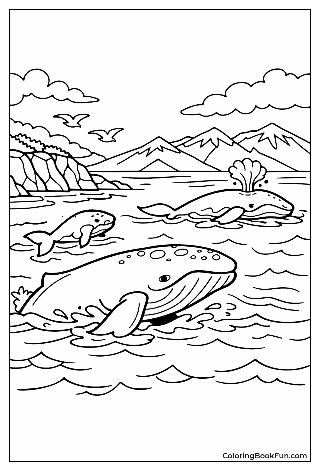 Gray Whales Migrate Coast