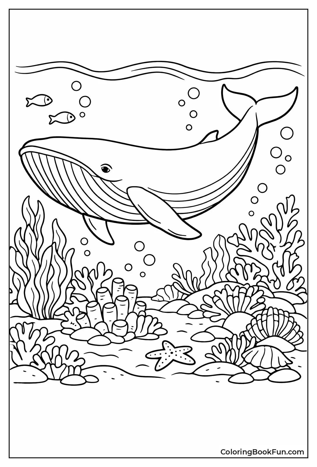 Blue Whale Swims Reefs