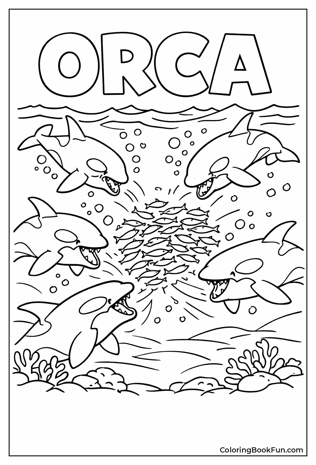 Orcas Hunt Fish Together