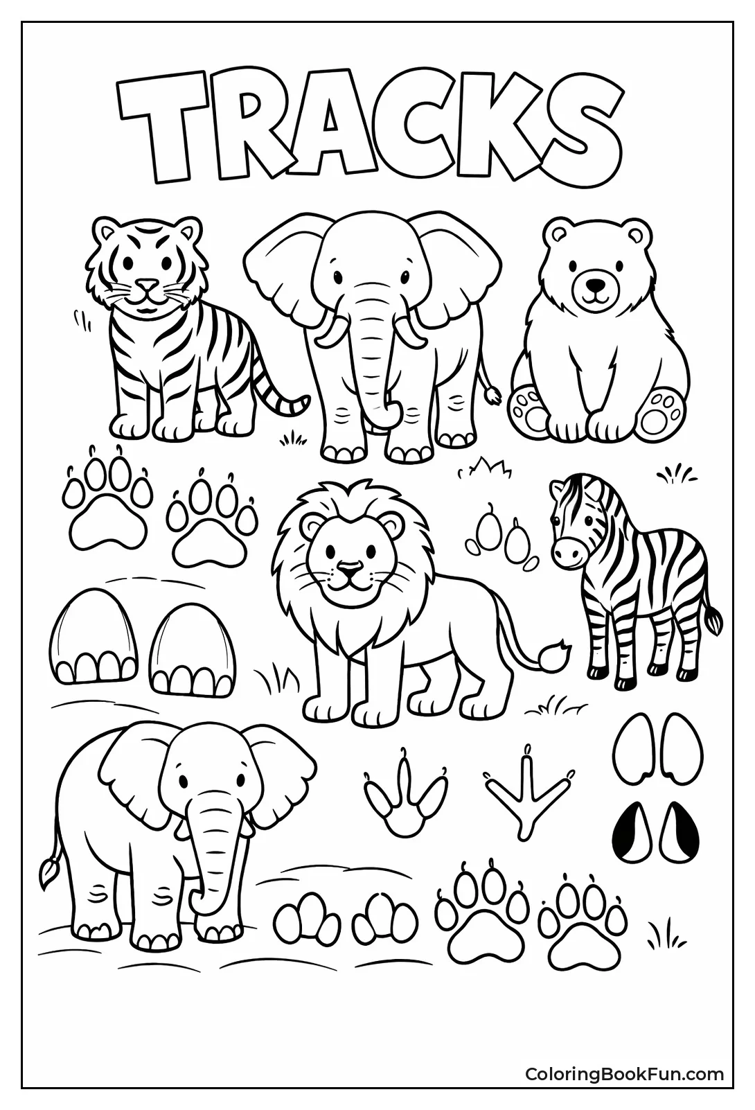 Animals and Their Footprints