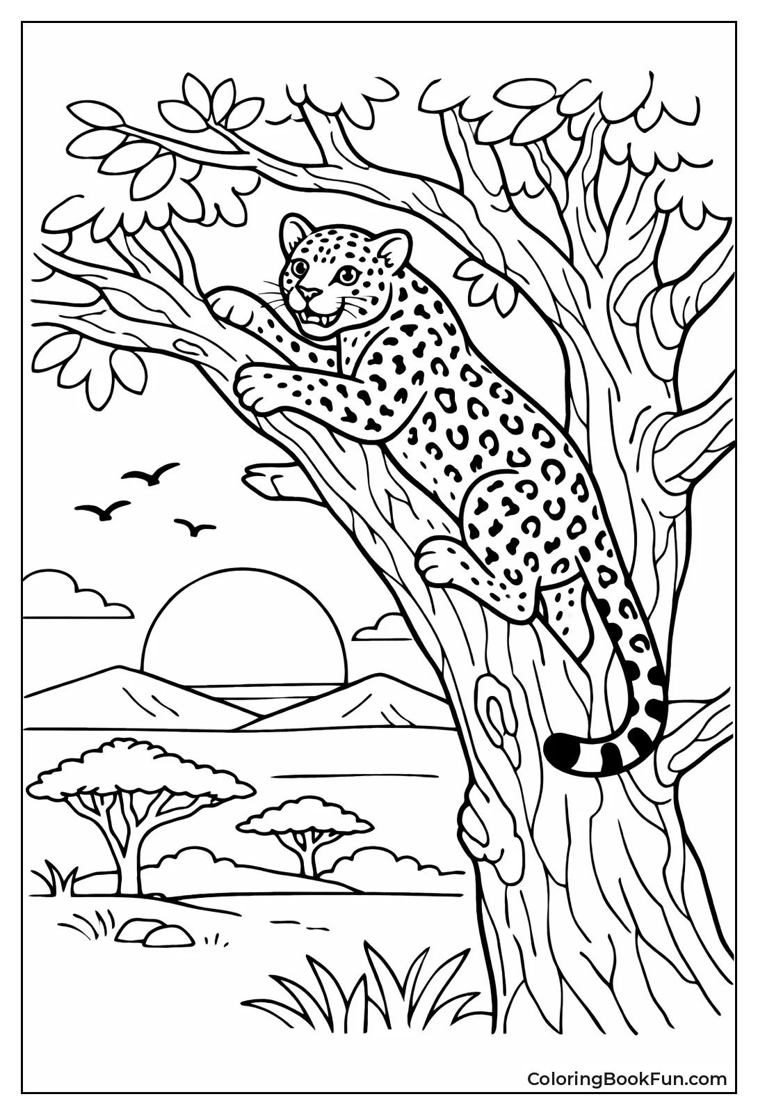 Leopard Climbs Tree at Sunset