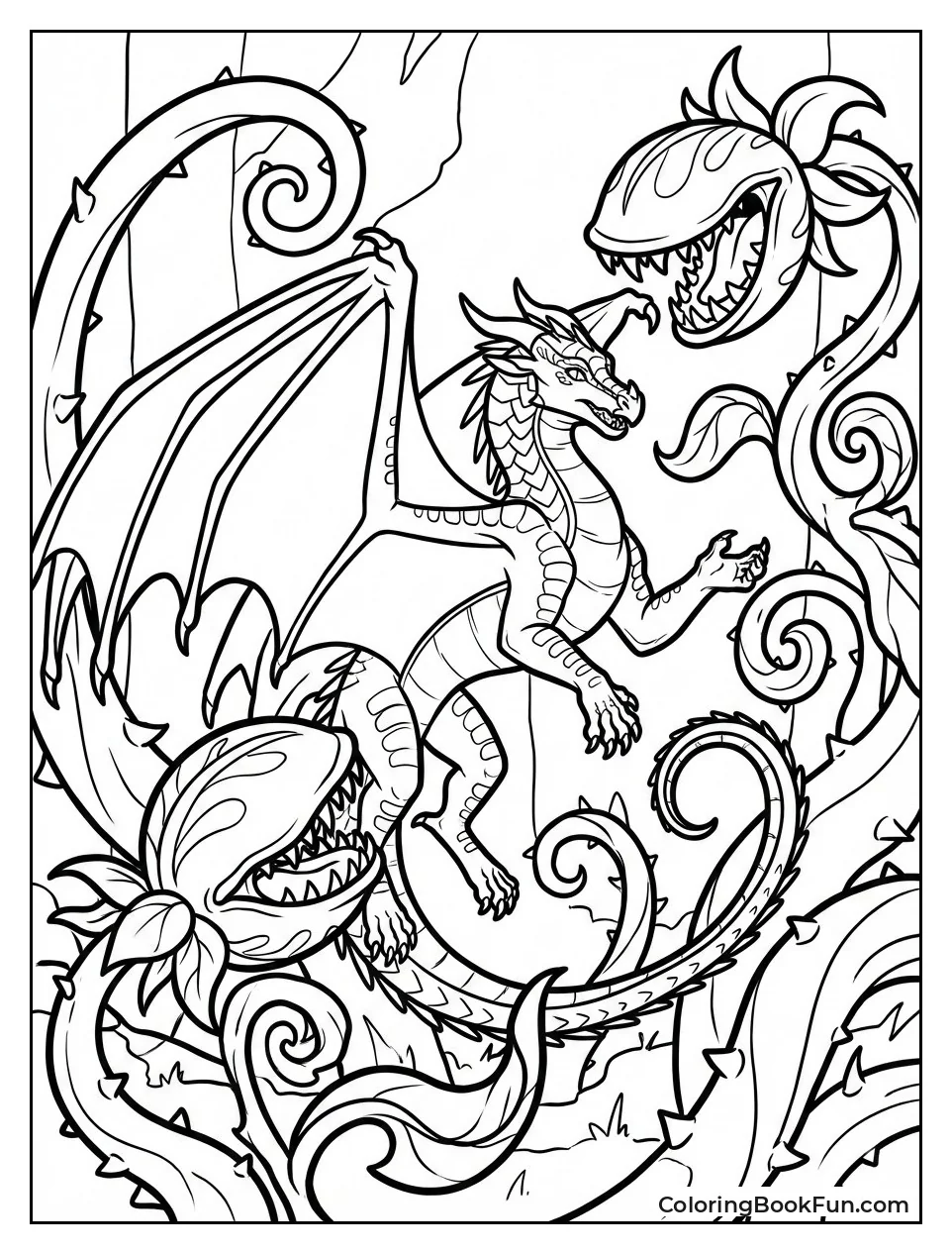 Sundew Grows Giant Plants