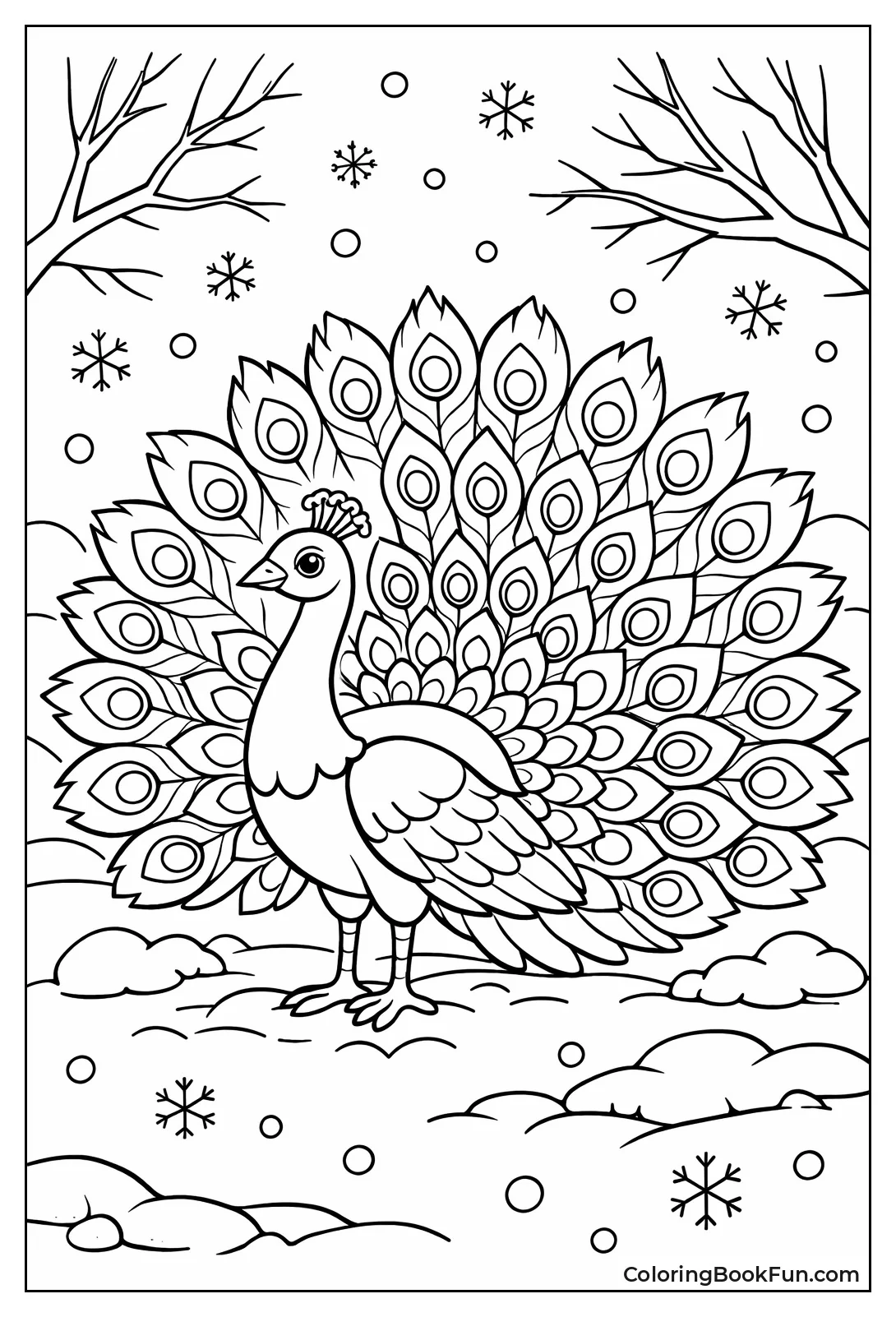 Winter Garden Peacock