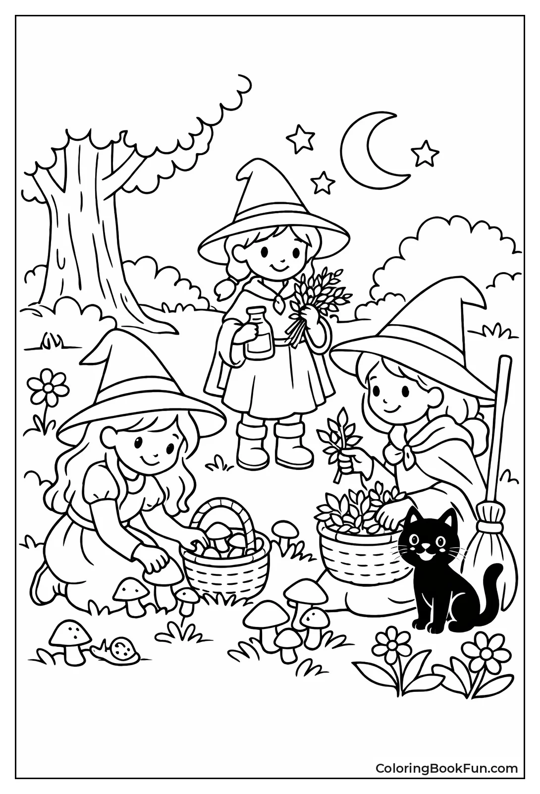 Witches Gathering Forest Herbs
