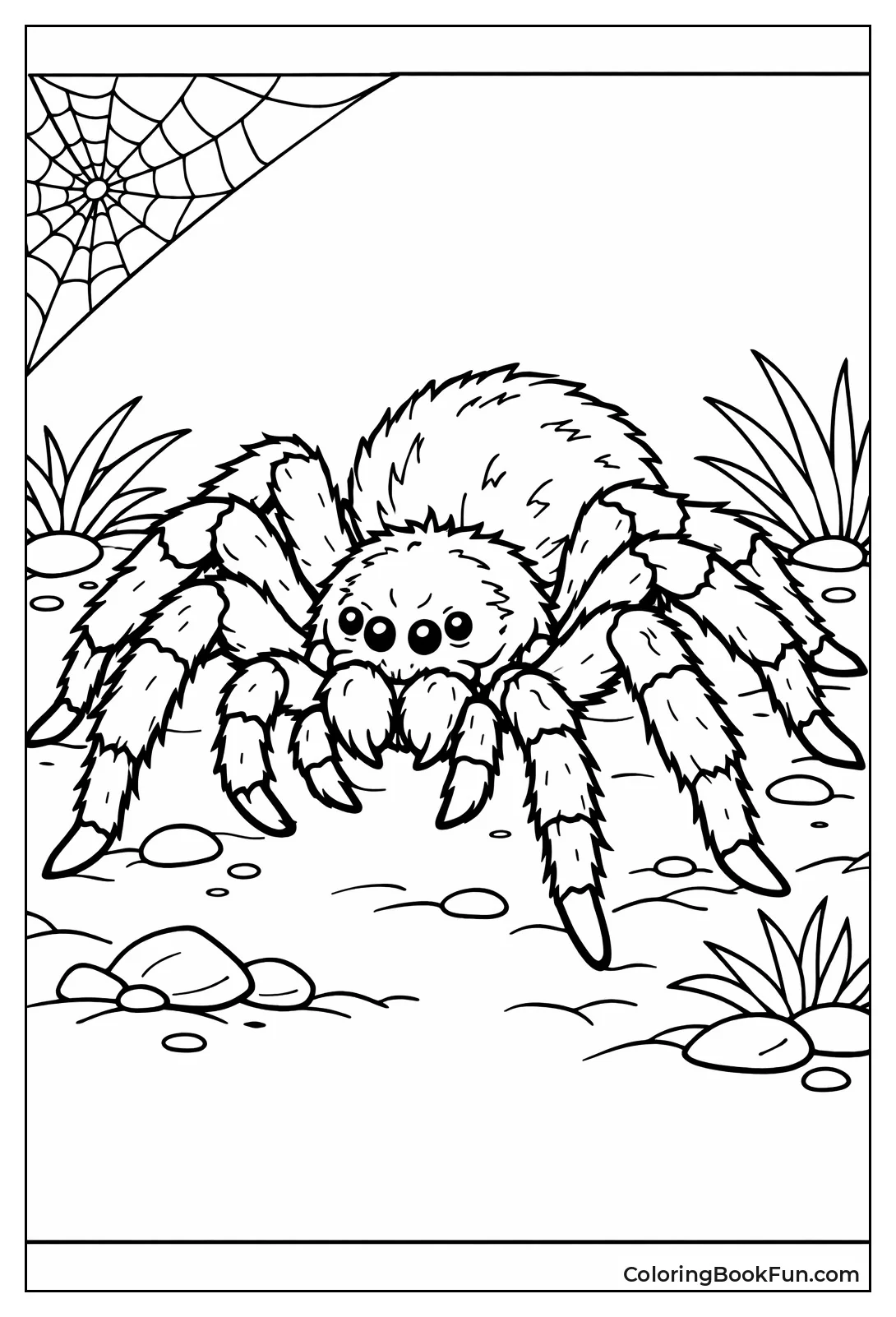 Wolf Spider Hunts on Ground