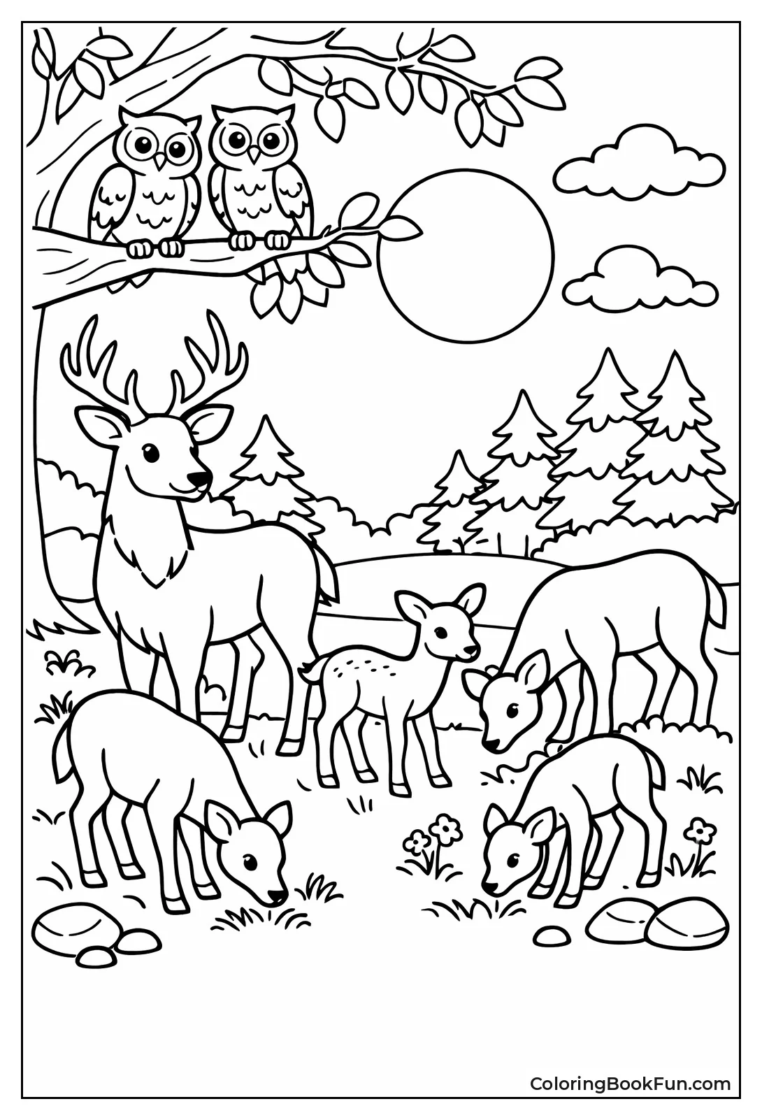 Deer Herd Grazes at Night