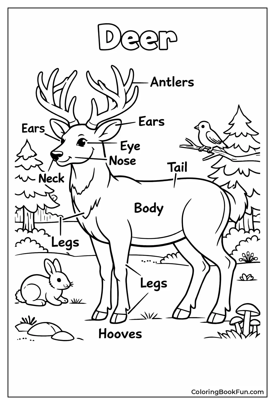 Labeled Deer Body Parts