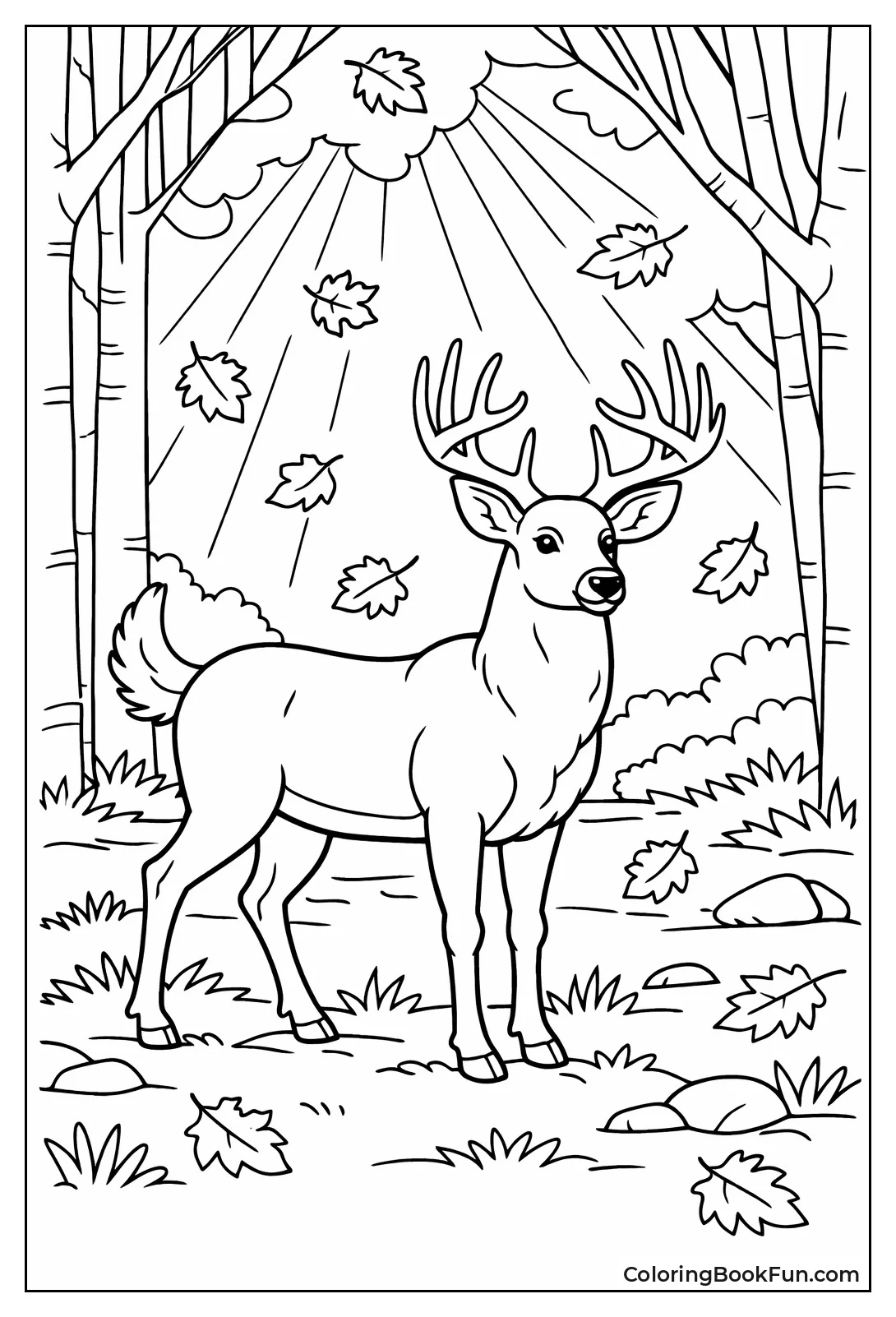 Buck Stands in Autumn Woods