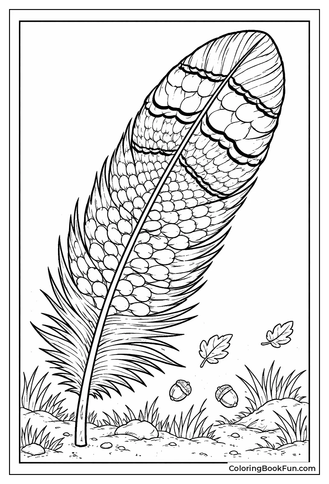 Detailed Pheasant Feather Patterns