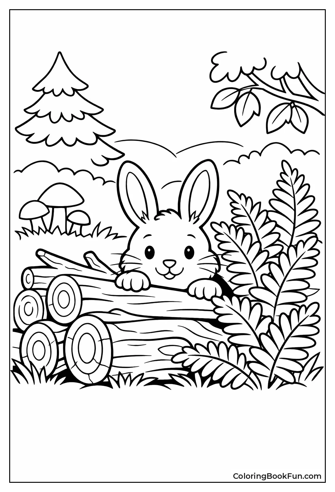 Rabbit Hides in Forest Ferns
