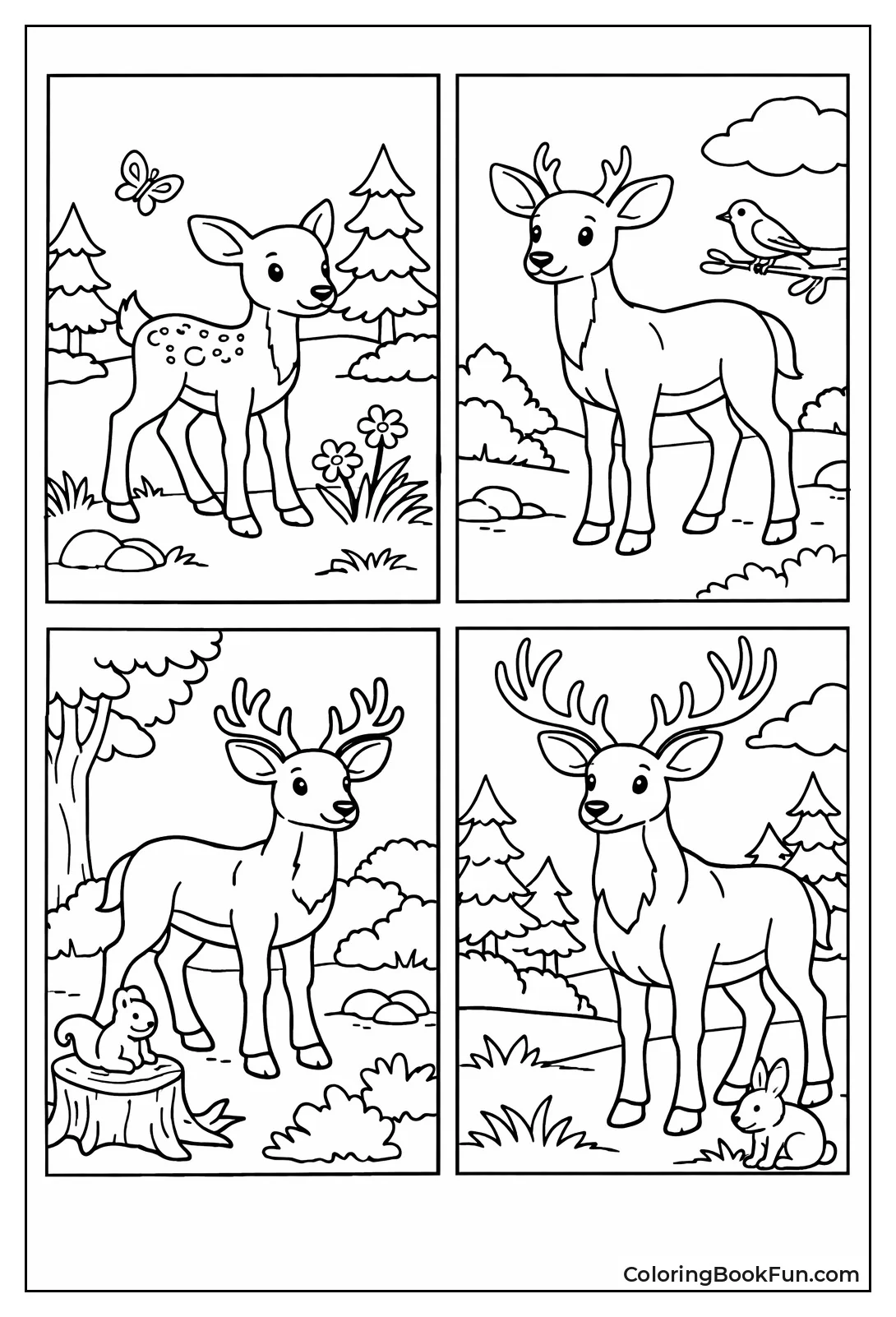 Deer Grow from Fawn to Buck