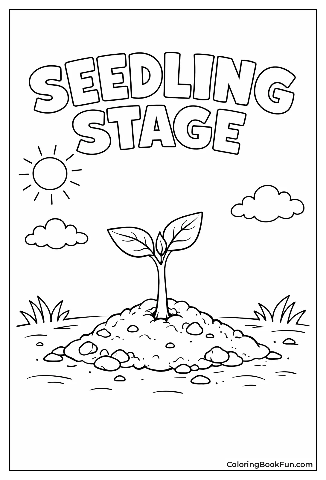 Tiny Seedling Pushing through Dirt