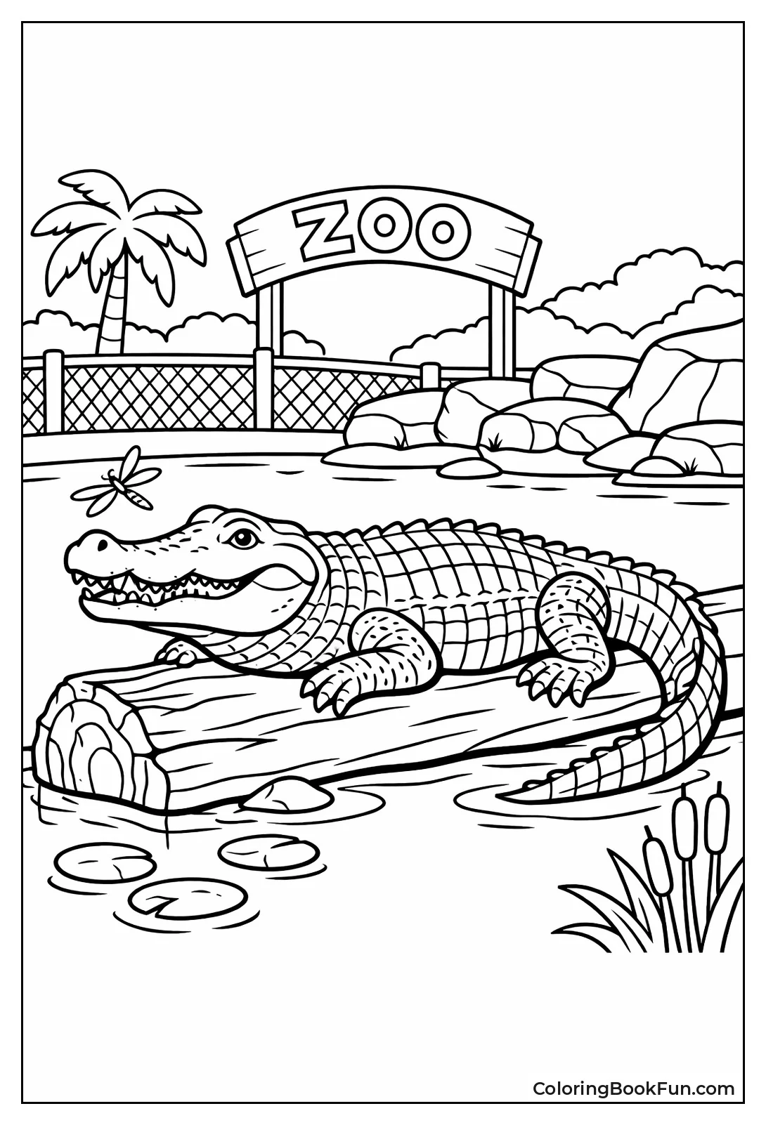 Crocodile Basks on Log