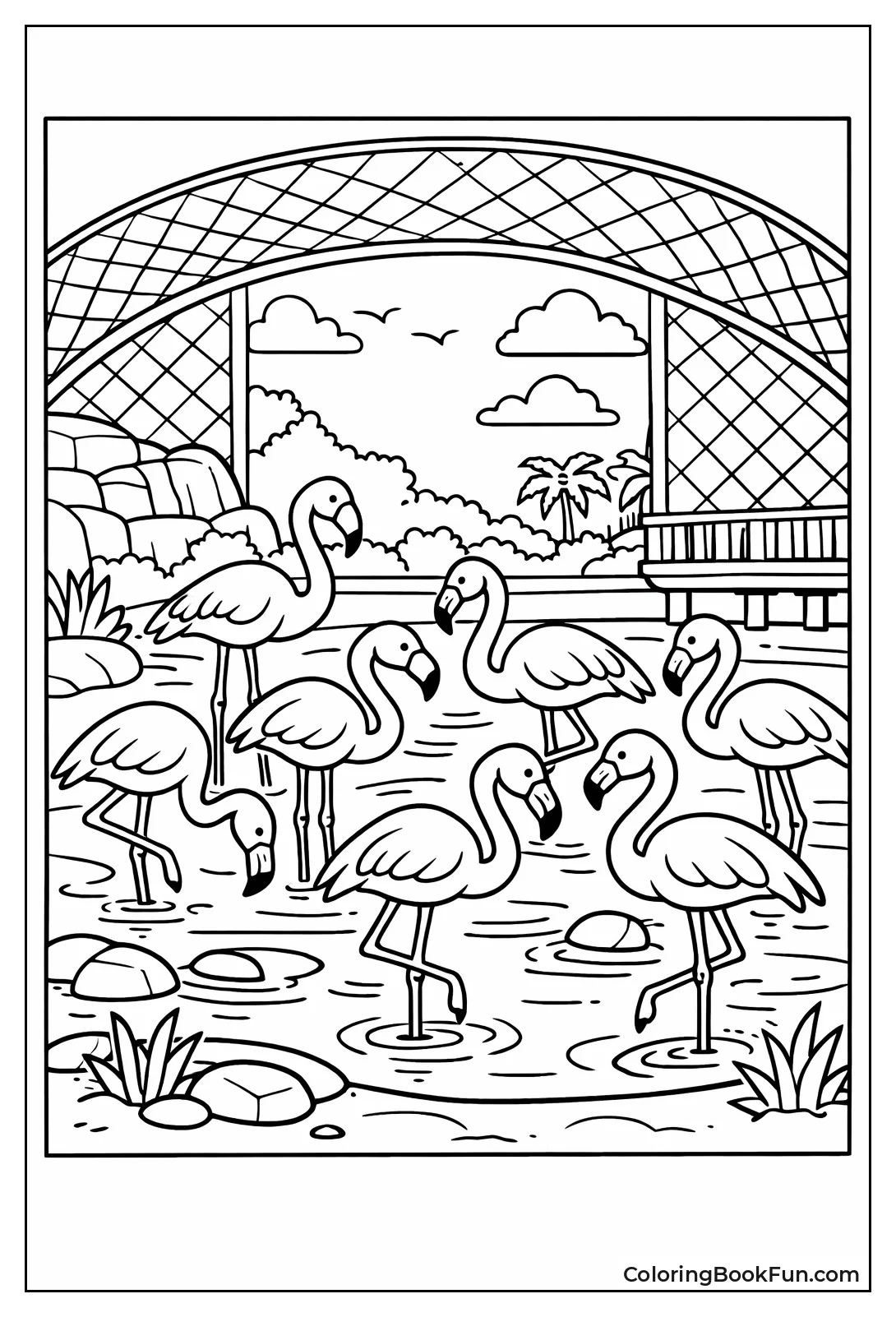 Flamingos Stand in Pond