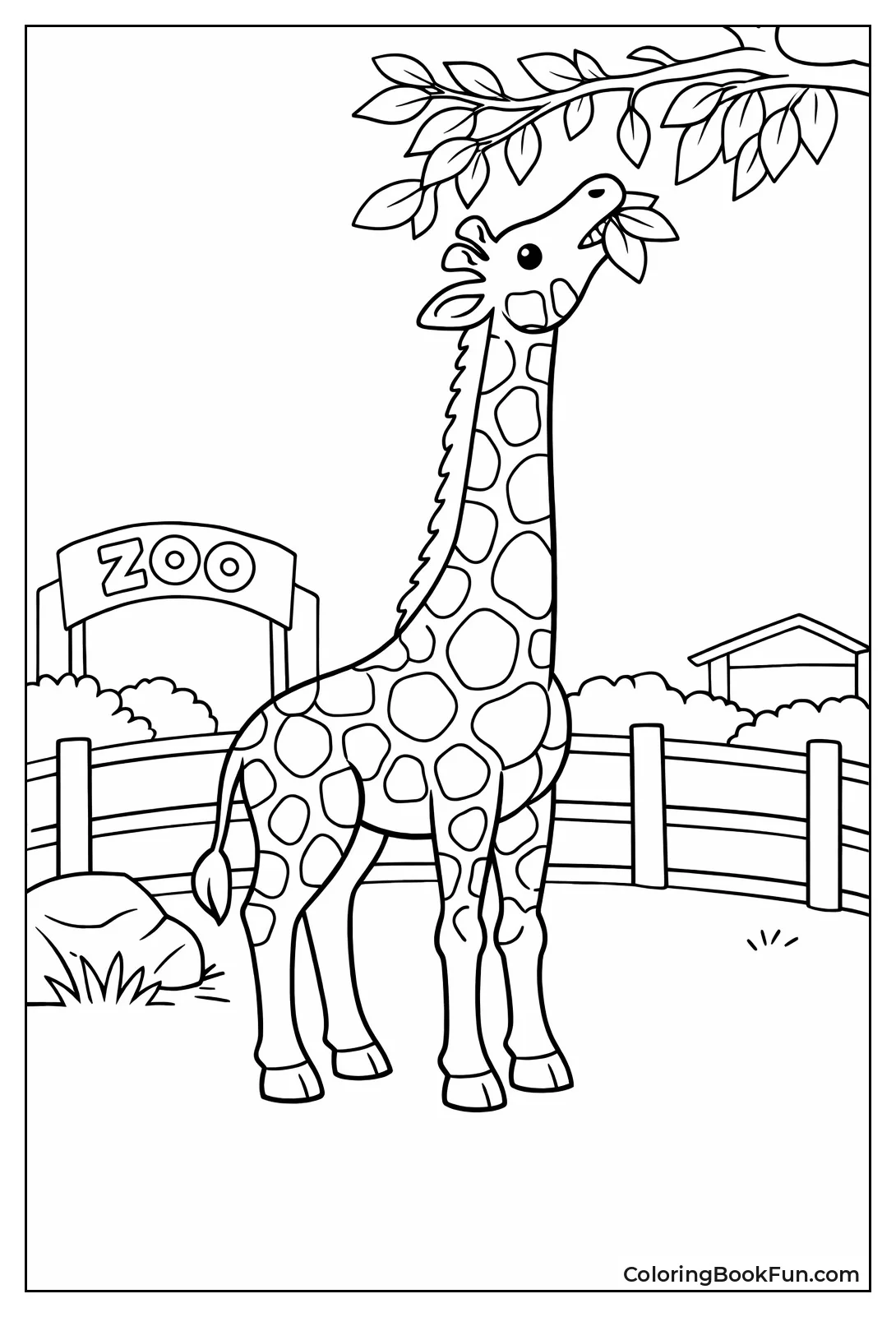 Giraffe Eating Tree Leaves