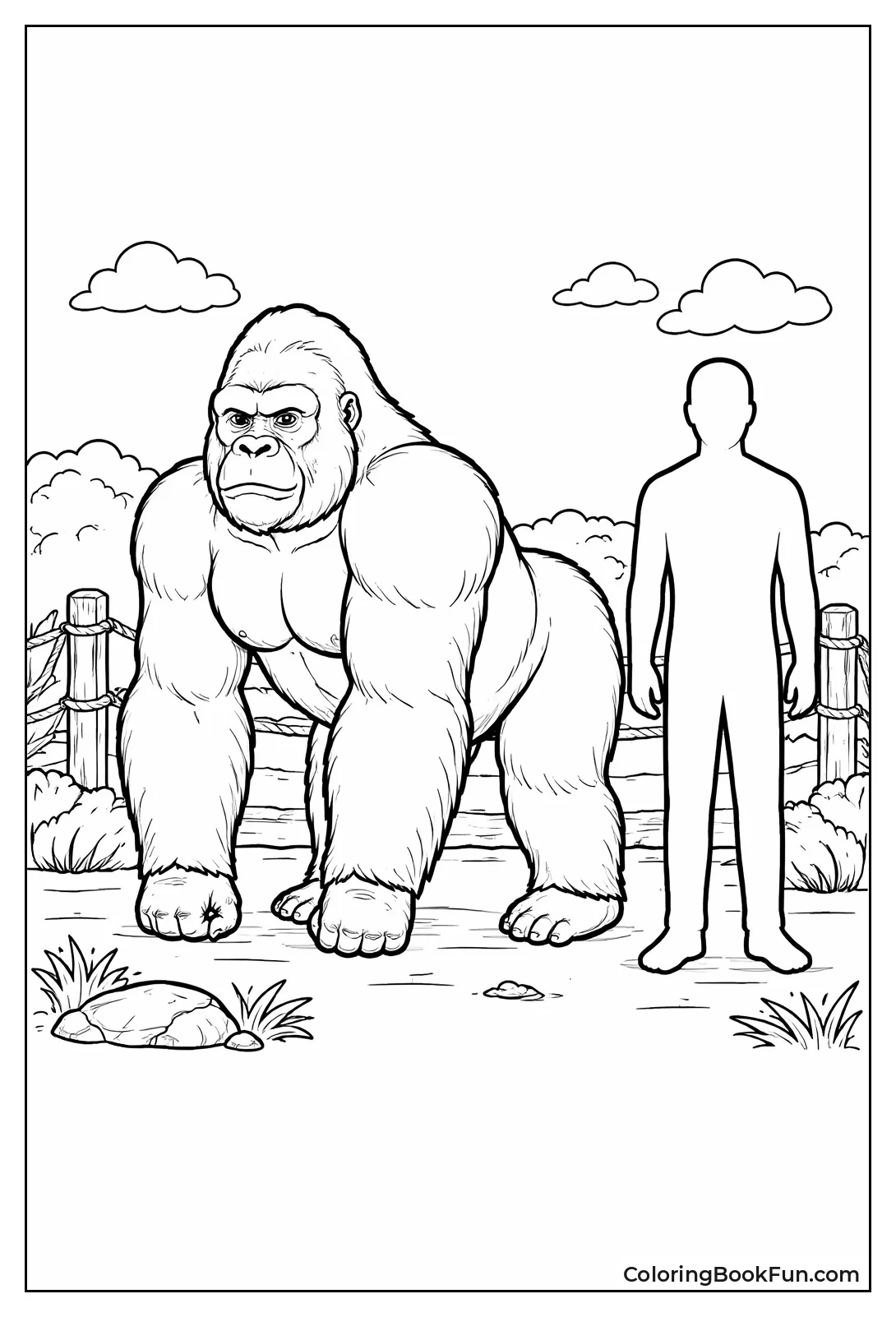 Gorilla Towers over Human