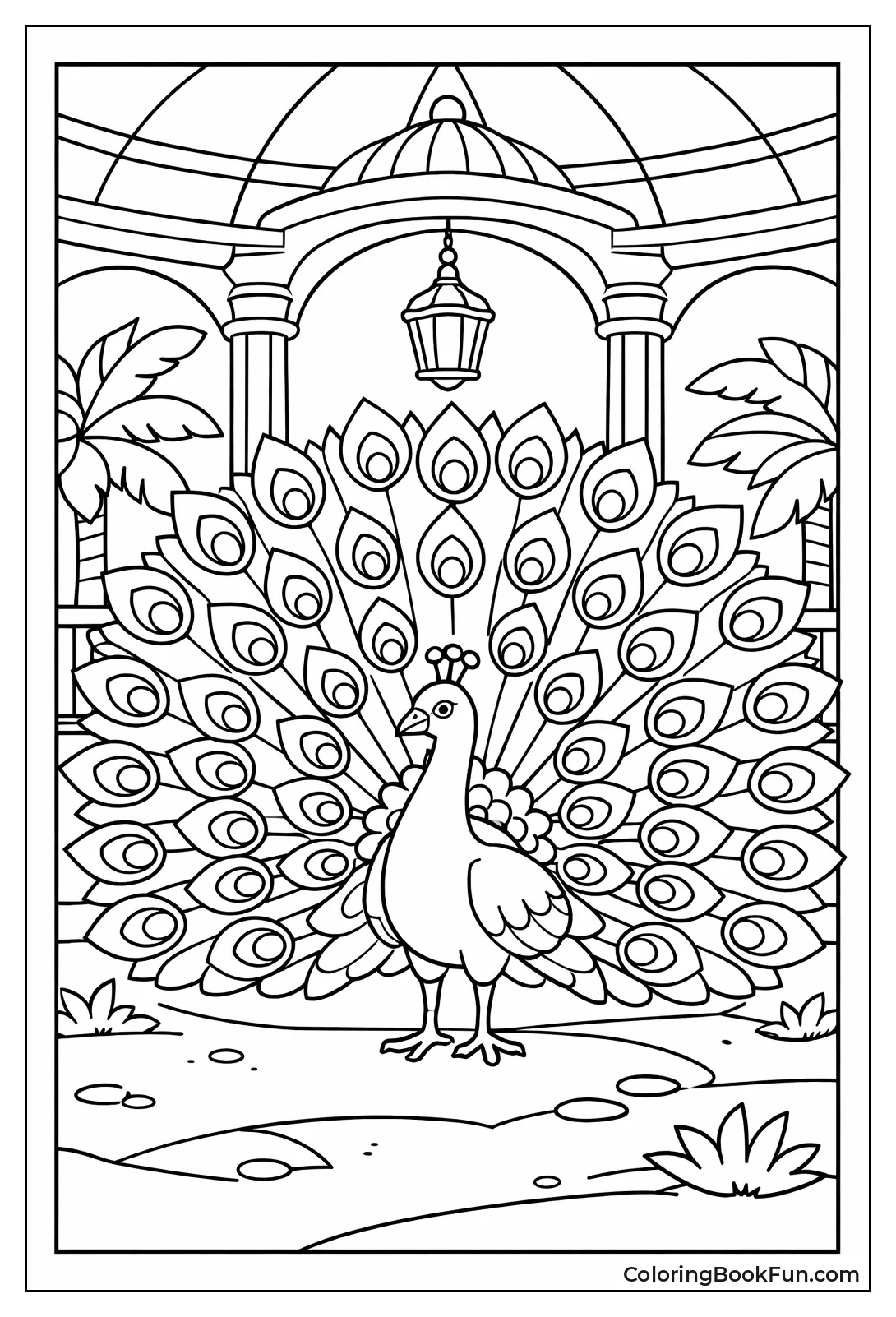 Peacock Fans Tail Feathers