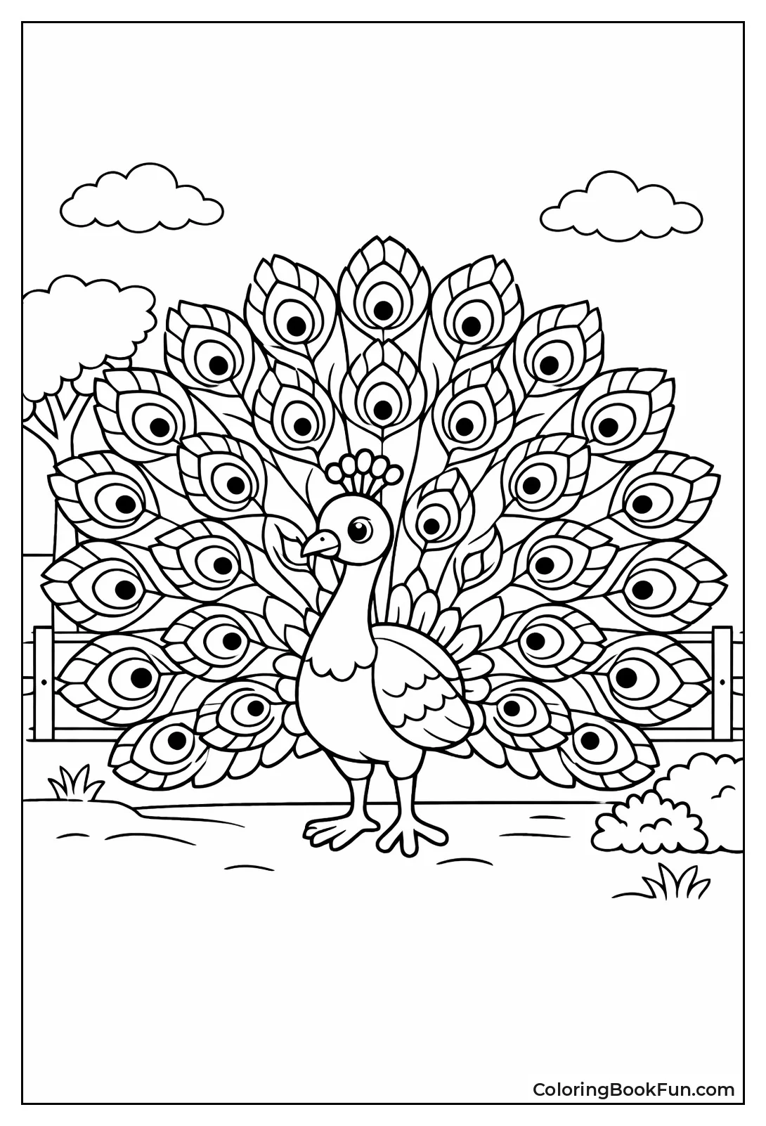 Peacock Spreads Feather Eyes