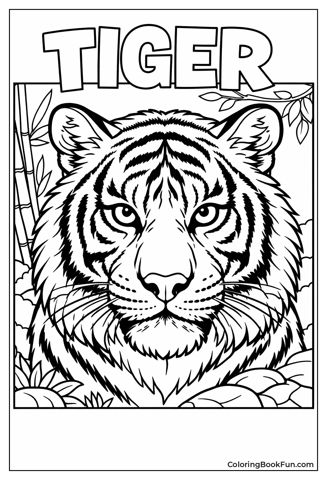 Tiger Face Eyes Stripes