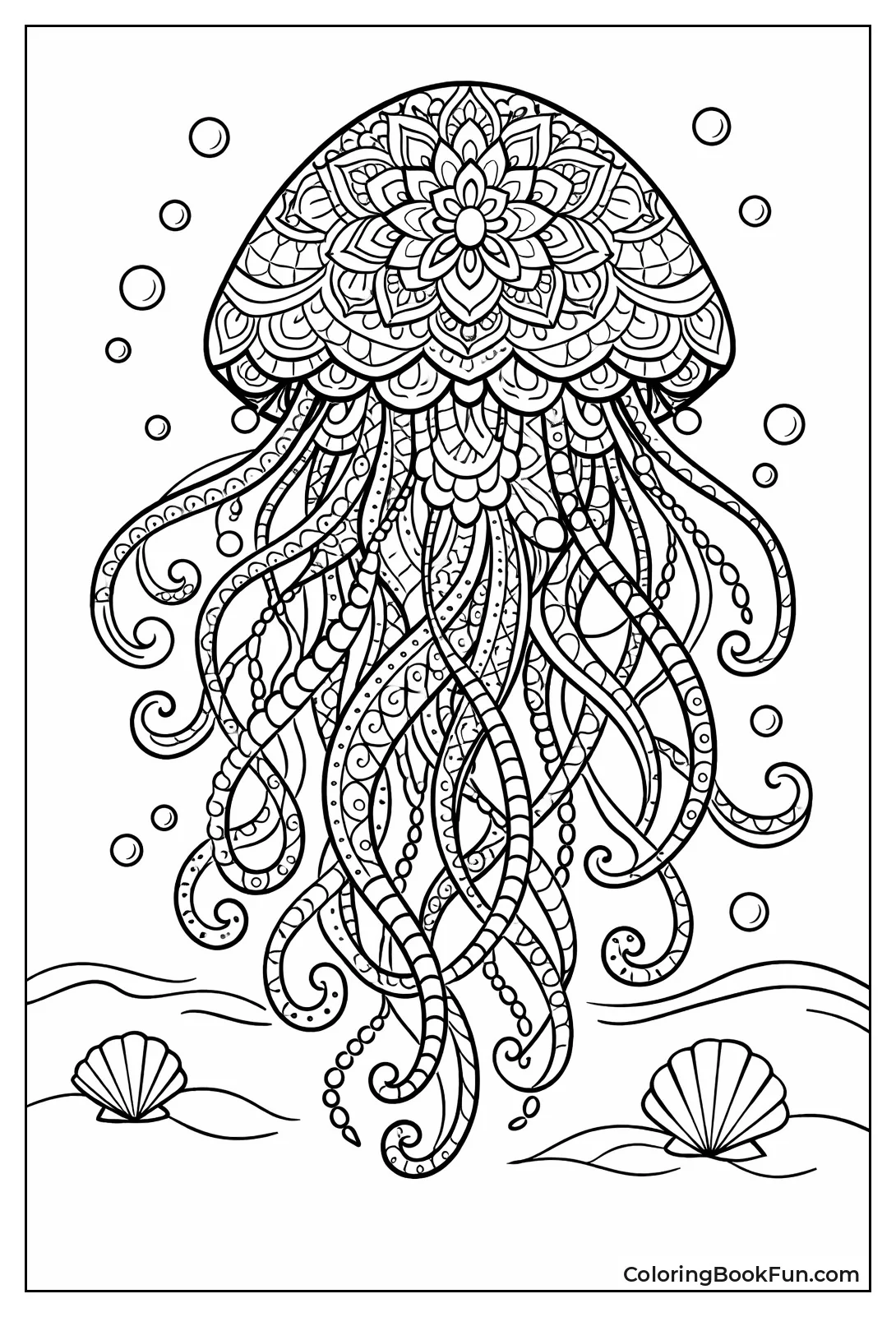 Adult Jellyfish