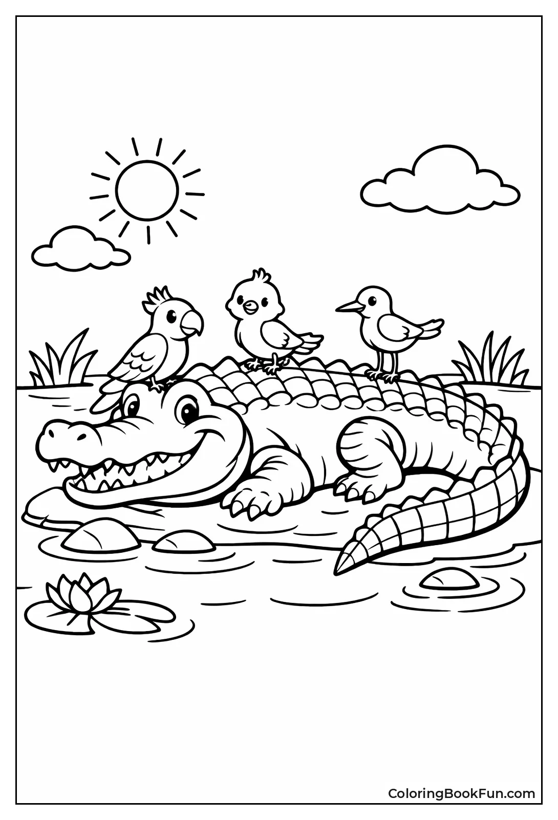 Alligator and Birds