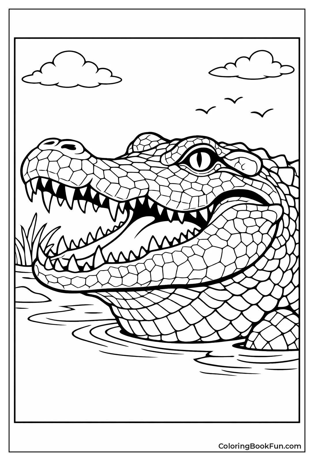 Close up Face Portrait