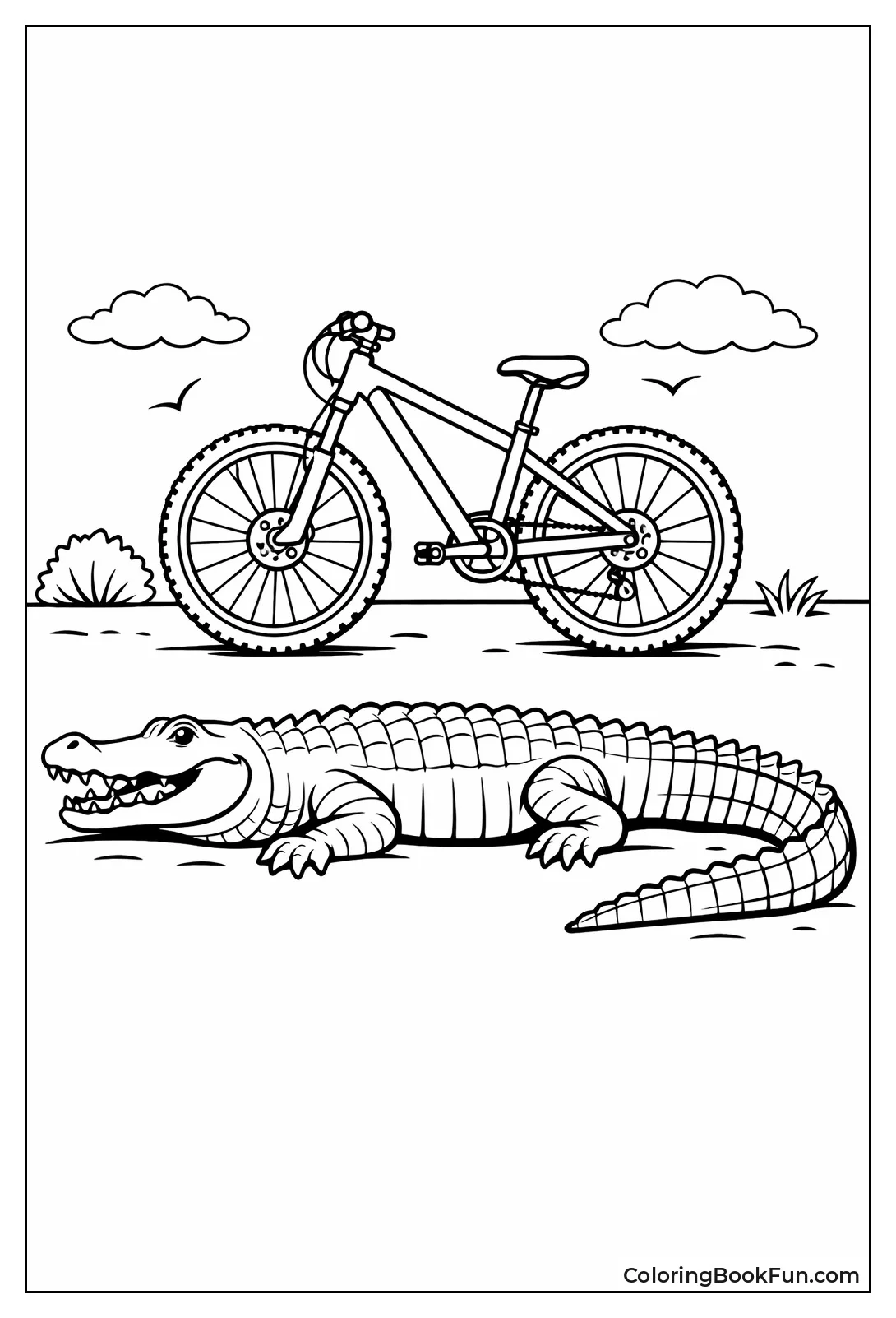 Gator vs. Bicycle
