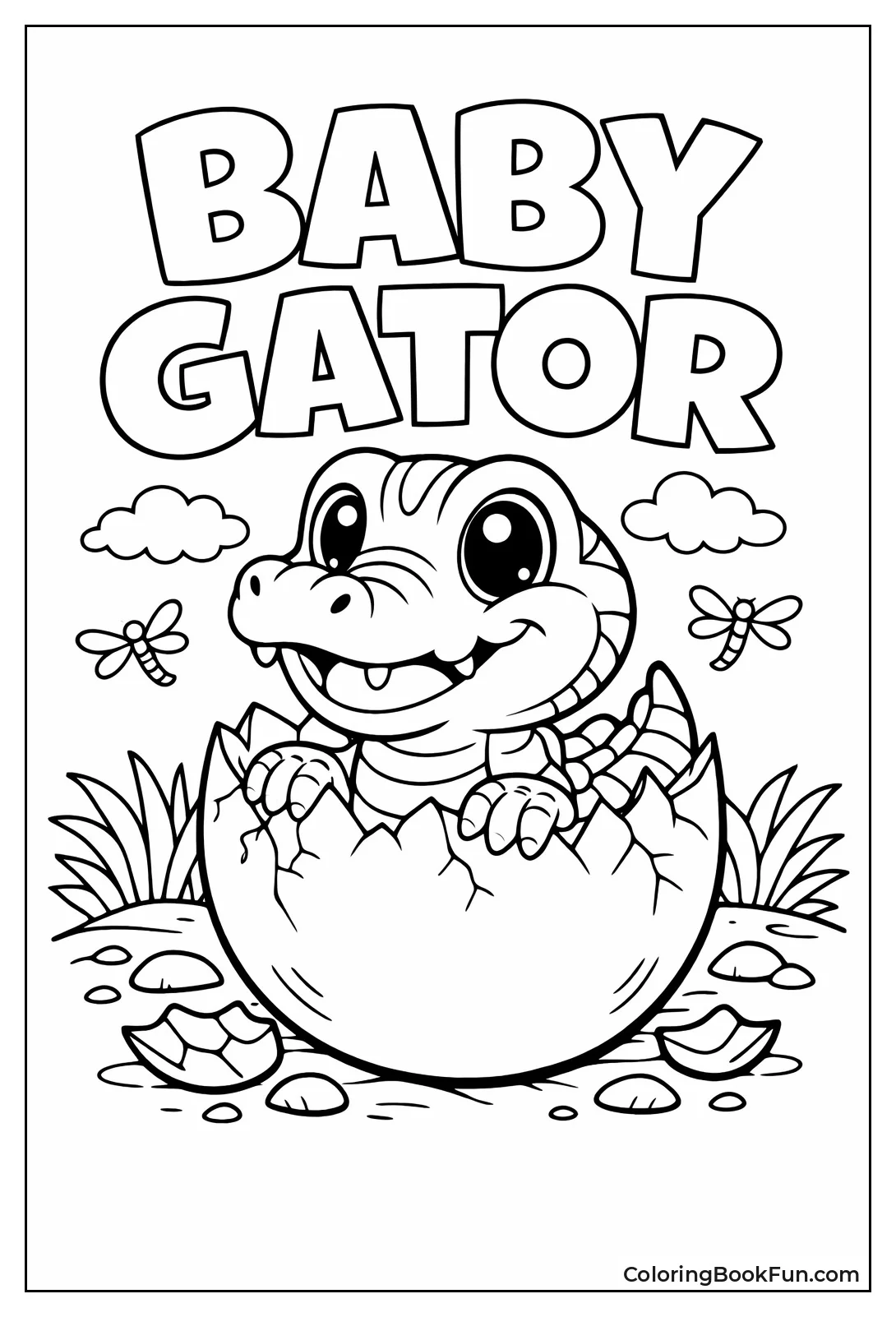 Baby Alligator Hatchling