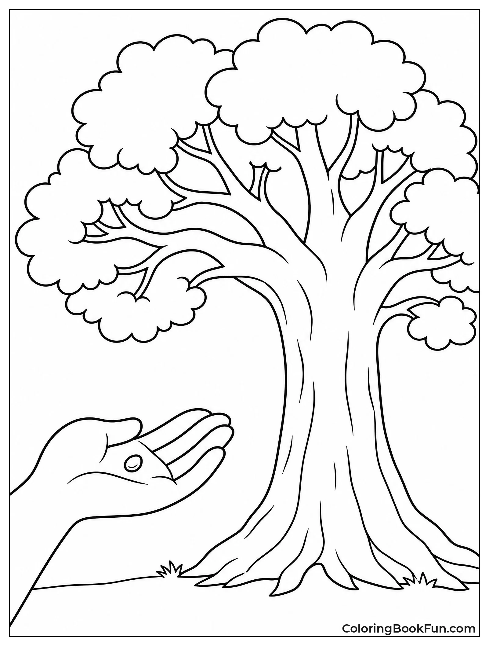 Small Seed and Big Tree