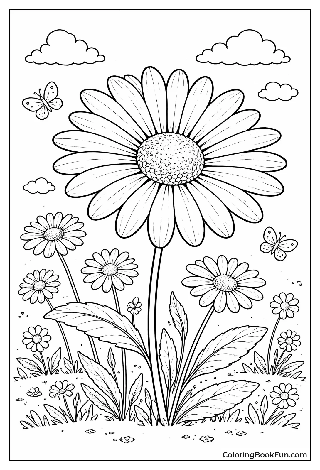 Botanical Daisy Closeup