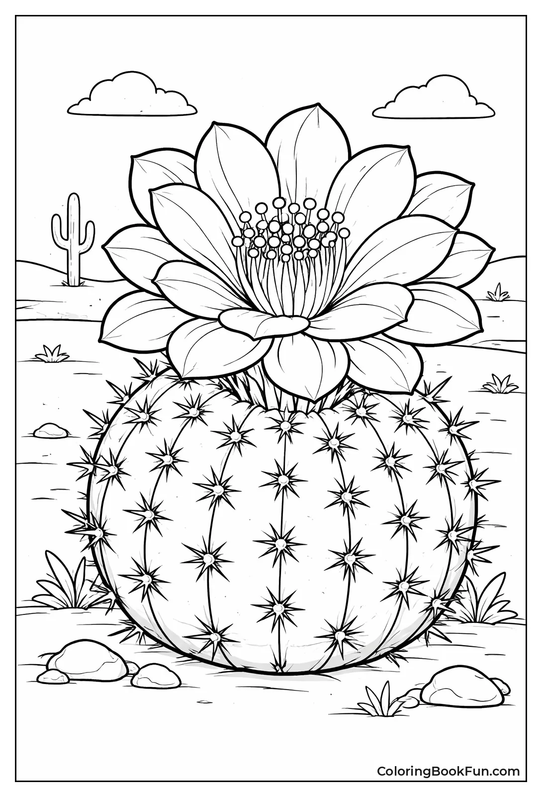 Cactus Flower Close up