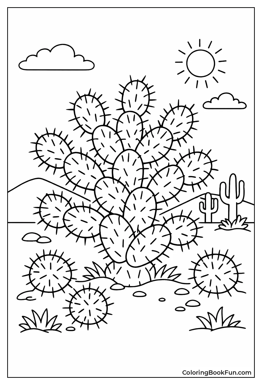 Jumping Cholla Balls