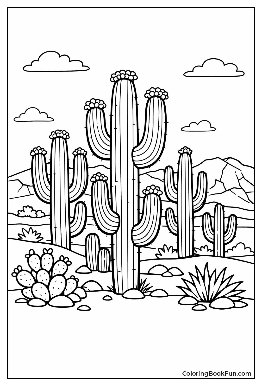 Saguaro Forest Panorama