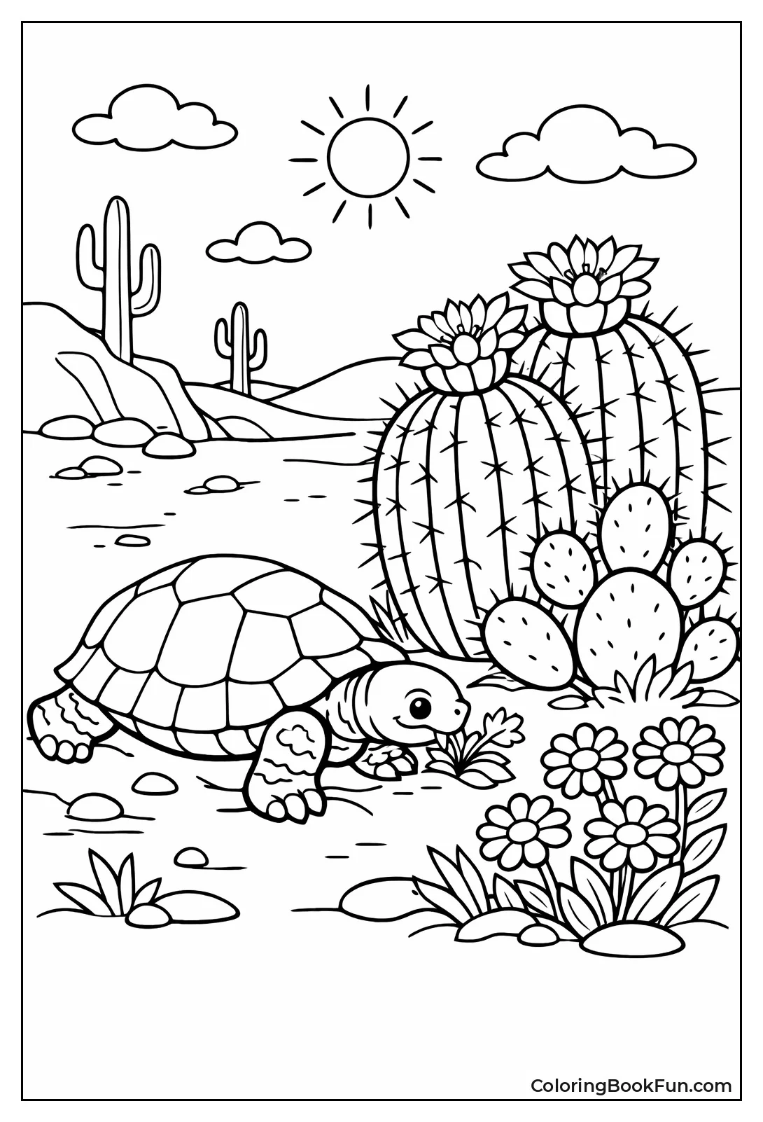 Tortoise Desert Habitat