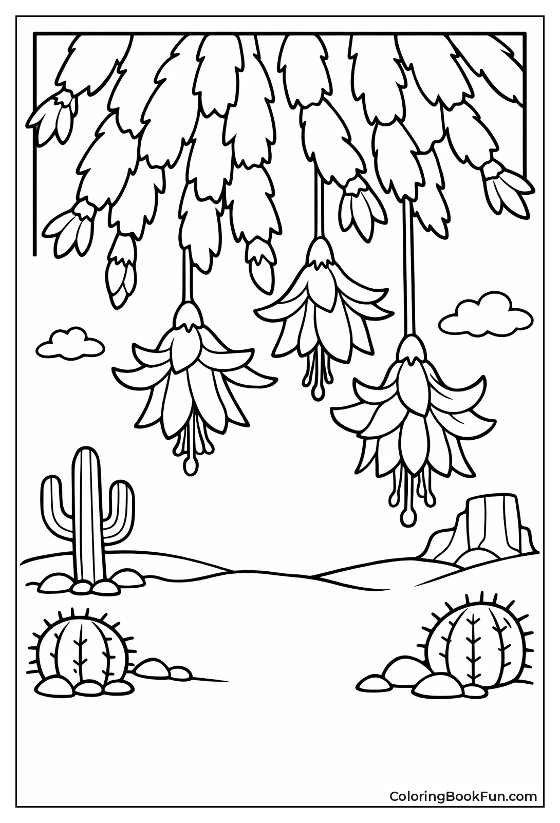 Christmas Cactus Bloom