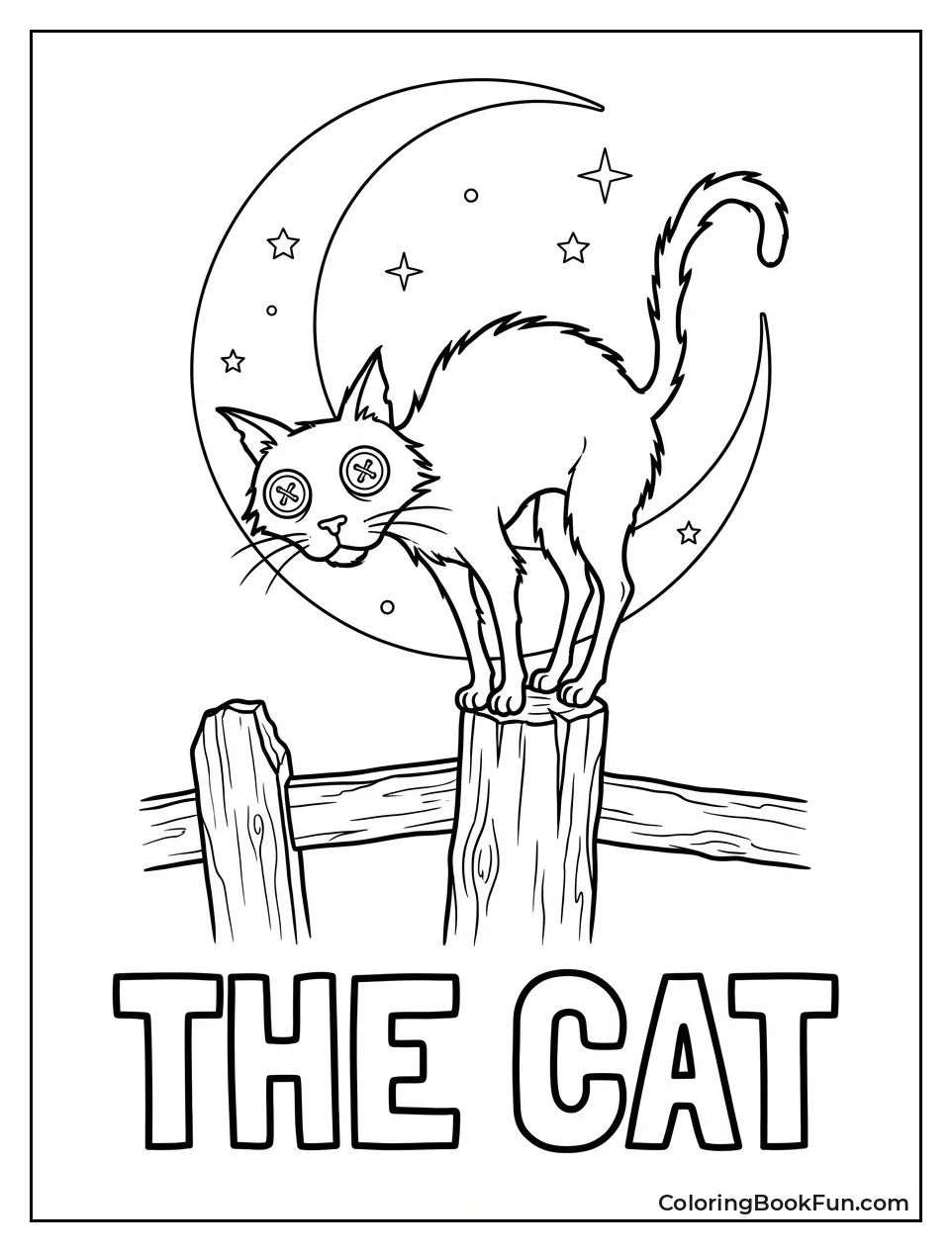 Mysterious Black Cat